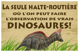 Faites l'observation de vrais dinosaures